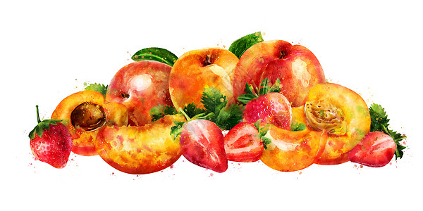 白色背景上的杏桃和草莓 它制作水彩画生态水彩蜜饯烹饪食物标签甜点斑点绘画叶子图片