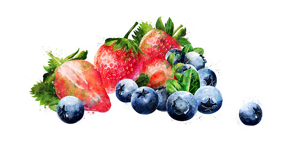 白色背景上的蓝莓和草莓 它制作水彩画收成蜜饯烹饪标签餐厅叶子水彩食物插图斑点图片