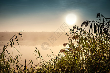 令人难以置信的神秘晨间风景 太阳 树 Reed和雾在水面上升起阴霾月亮反射射线天空池塘场景旅游戏剧性光环图片