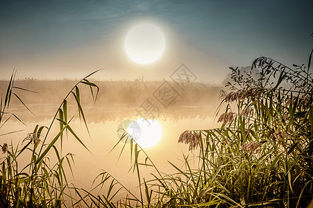 令人难以置信的神秘晨间风景 太阳 树 Reed和雾在水面上升起旅游反射戏剧性场景月亮池塘射线支撑阴霾光环图片