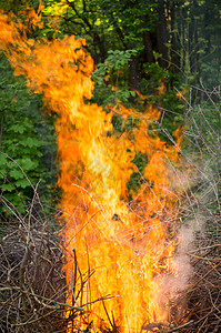 燃烧大量垃圾桶 同时燃起亮亮的大营火日落木头野餐旅行自由冒险篝火活力陆路火焰图片