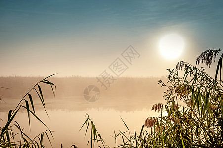 令人难以置信的神秘晨间风景 太阳 树 Reed和雾在水面上升起戏剧性月亮光环旅游池塘支撑反射阴霾射线场景图片