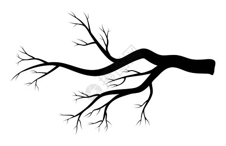 白色背景上孤立的光秃秃的树枝冬季设计木头季节森林黑色枝条卡通片树干标识植物机构图片