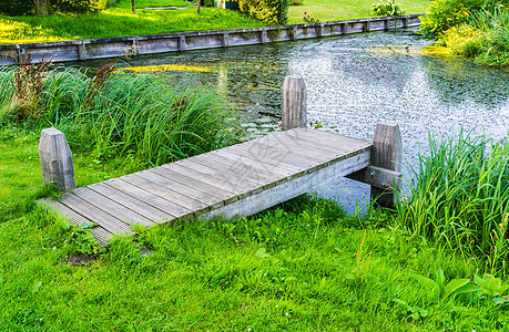 公园池塘的木桥图片