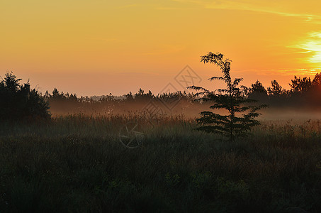 清晨在草原上 红天空 日出图片