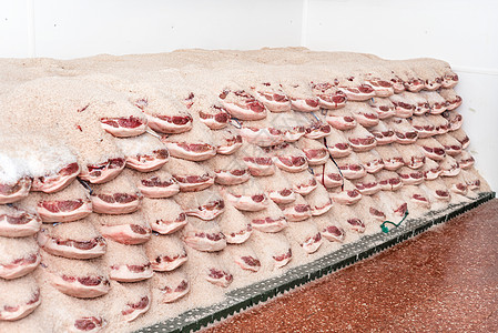肉类工业的理念 比伯兰火腿的盐碱过程工厂猪肉老化烘干调色板养护持有者熟食营养火腿图片