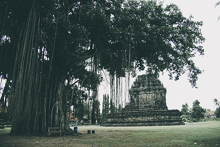 孟杜特寺庙 印度尼西亚日惹发现的又一座古老纪念碑遗产废墟旅游石头世界天空建筑学岩石文化城市图片