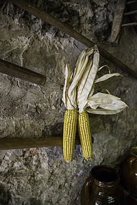 干玉米鳕橙子季节植物农场烘干食物营养粮食团体场地图片