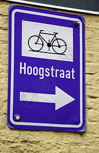 有箭的自行车标志沥青信号蓝色车道街道小路城市路标车辆公园图片
