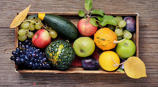 美丽的秋收收藏食物时间托盘篮子收获壁球蔬菜饮食浆果背景图片