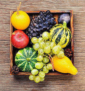 美丽的秋收季节食物壁球水果收获李子收藏静物收成蔬菜背景图片