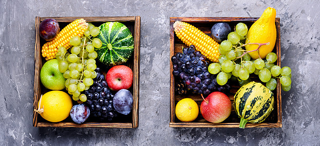 美丽的秋收李子壁球篮子食物蔬菜水果收成葫芦玉米浆果背景图片