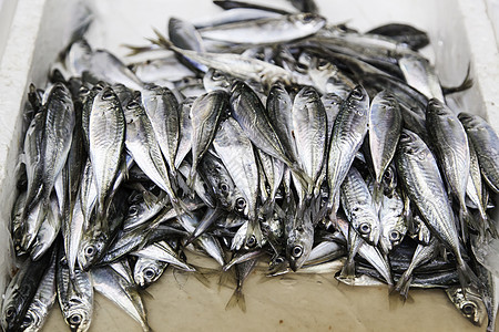 市场中的新鲜鱼眼睛海鲜餐厅食物动物店铺盐水生活街道美食图片