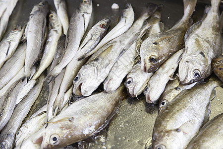 市场中的新鲜鱼钓鱼餐厅营养生活眼睛盐水烹饪食物柠檬海鲜图片
