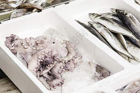 市场中的新鲜鱼贝类餐厅营养动物生活钓鱼食物柠檬盐水海鲜图片