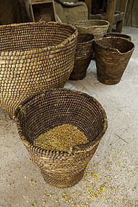一袋埃斯巴多玉米中生玉米的详情收成种子麻布粮食农业季节耳朵勺子小麦食物图片