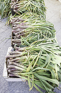 市场上新鲜大蒜香气调味品厨房健康烹饪植物收成采摘紫色草本植物图片