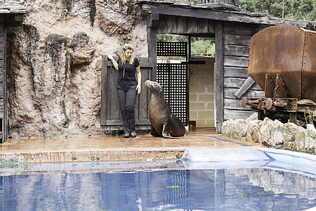 海狮秀动物吸引力旅行游戏地标水族馆水池狮子荒野公园图片