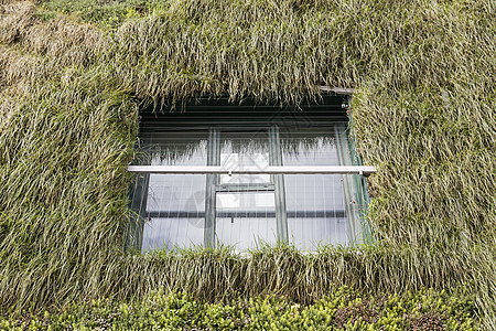 以工厂为掩护的生态环境城市框架地球屏幕建筑学温室叶子房子村庄花园图片