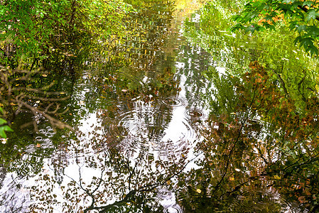 苏格兰本莫尔植物园水反射中秋秋色的颜色图片
