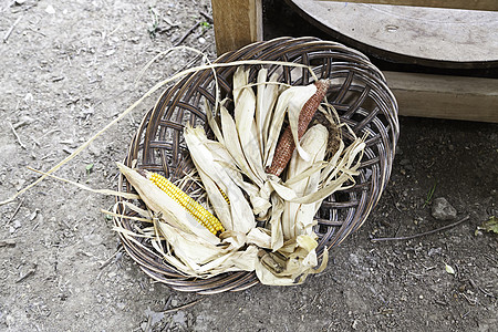原粘土锅上的干玉米鳕鱼背景