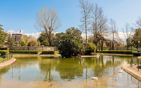 意大利一个城市公园的小湖里有鸭子仁德反射鸟类木头池塘天空绿色民众蓝色风景图片
