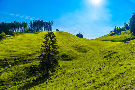 蓝天绿地 沙根恩格伦德 内地 阿彭策尔草地晴天场景土地丘陵爬坡天气阳光国家场地图片