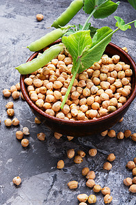 Chickpeas 素食烹饪基础厨房树叶蔬菜豆类美食营养健康植物草本植物收成图片