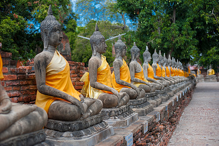 在泰国Ayutthaya世界遗产地排成一排的佛像上帝旅行精神金子寺庙佛教徒青铜冥想雕塑宗教图片