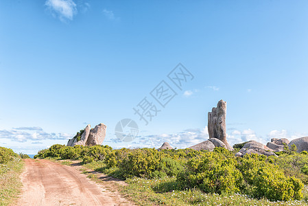 Langebaan附近的Postberg岩石形成旅行风景旅游阳光农村乡村蓝色巨石白色泥路图片