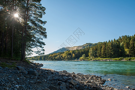 卡吞河 秋天阿尔泰山岩石卡通石头森林蓝色晴天荒野生态公园风景图片