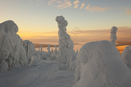 冬季芬兰拉普兰木头旅行蓝色滑雪森林童话高山天空假期日落图片