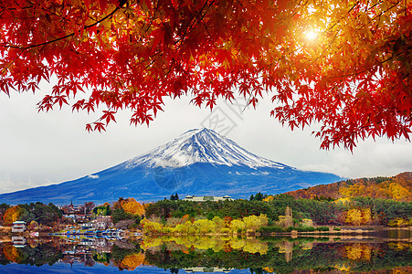 日本川口子湖的秋季和藤山旅游树叶天空旅行火山樱花场景公吨反射风景图片