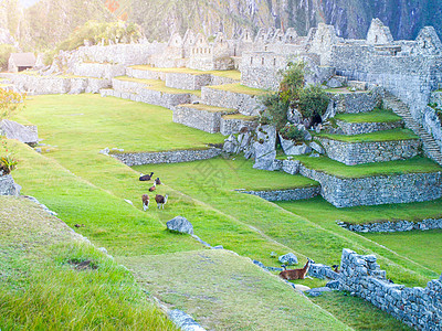 南美秘鲁英干失落城市阳台遗产旅游马丘草地地标石头建筑文化城市图片