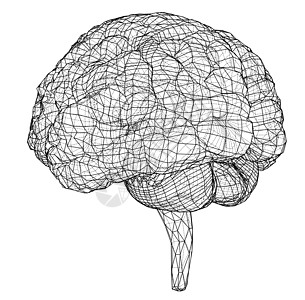 3D轮廓大脑 3d的矢量投影思考头脑解剖学记忆艺术药品皮层科学心理学智力图片