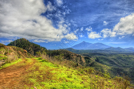 特内里费山脉西北北海岸和青草 蓝天空 乌云以及加那利群岛曲线国家地面地球成长生态植物土壤草地场景图片