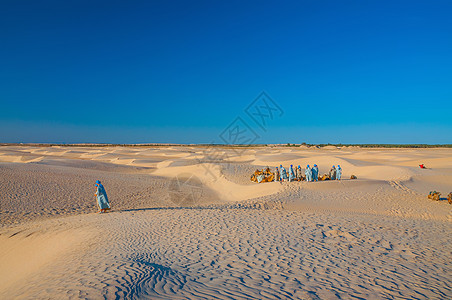 撒哈拉沙漠 突尼斯 北非和突尼斯的人民和骆驼蓝色旅行大篷车旅游日落干旱哺乳动物动物单峰运输图片