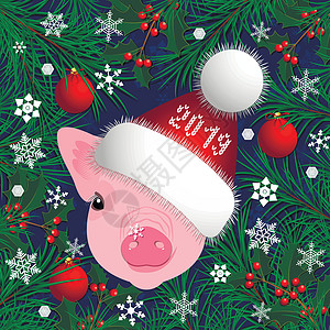 猪的肖像 头戴新年帽子 圣诞树和冬青树枝的框架 圣诞玩具雪花 矢量图  2019 年中国新年标志的漂亮风格图片