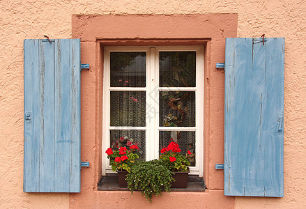 粉红色墙上有蓝百叶窗的鲜花窗口建筑学植物蓝色房子快门森林建筑窗户住宅玻璃图片