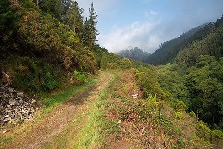 阿斯图里亚斯 西班牙旅游天空旅行人行道小路生境假期农村踪迹全景图片