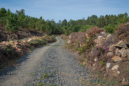 西班牙加利西亚 圣地亚哥 卡米诺栖息地山脉全景城市人行道旅行旅游生境假期农村图片