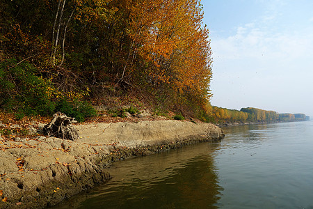 2018年10月在多瑙河上以363英里3的方圆3 秋天难以忘怀岛屿颜色森林地区旅游分支机构动物群区域野生植被地理荒野图片