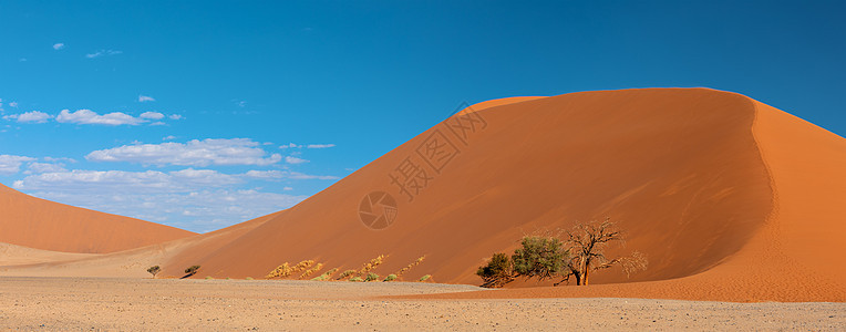 纳米比亚沙漠Soussusvlei的Dune 45荒野沙丘公园旅行冒险蓝色纳米布天空国家孤独图片