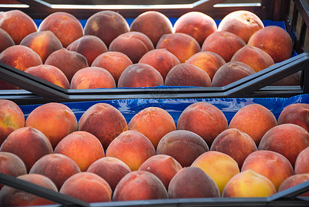 市场篮子中的桃子美食食物红色摊位零售店铺杂货健康饮食物体水果背景图片