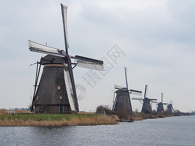 荷兰农村风车和运河风车及运河景观绿色旅行蓝色小孩地标天空运河堤防农场乡村图片
