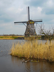 荷兰农村风车和运河风车及运河景观运河地标天空小孩蓝色绿色堤防农场旅行乡村图片