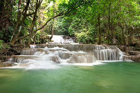 雨林中的瀑布热带丛林林地旅行荒野假期公园木头森林植物图片