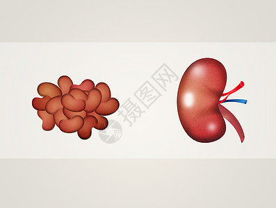 豆类和肾脏津贴图片