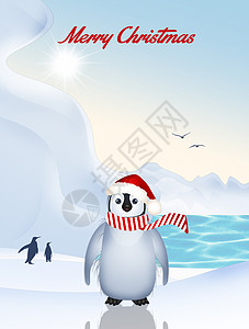 圣诞小企鹅海洋荒野插图伤害动物帽子卡通片吉祥物翅膀鸟类图片