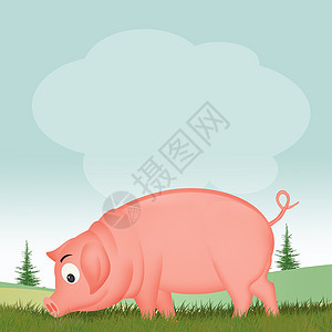 猪圈里的猪卡通片粉色动物农场栅栏草地吉祥物插图哺乳动物背景图片